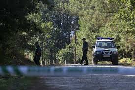 Pista forestal de Teo