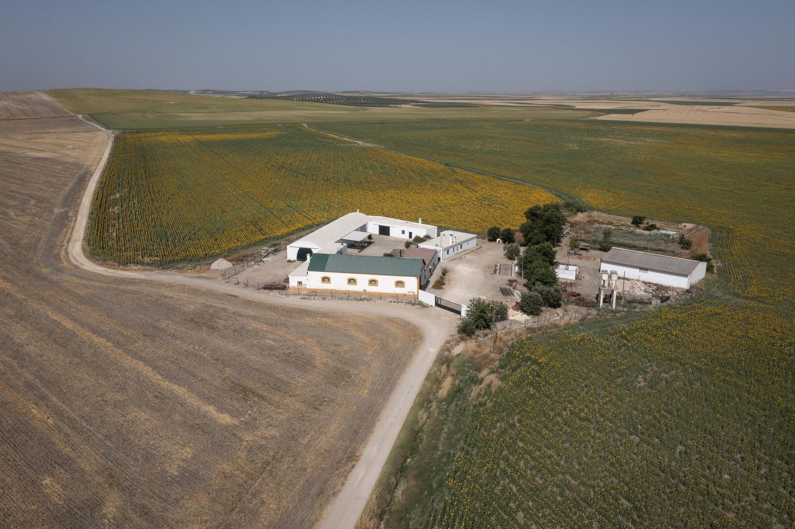 Vista actual del Cortijo Los Galindos